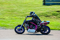 Middle 1 Group Multicolour Bikes
